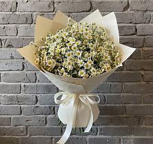 Букет цветов из:  Ромашки #REPLACE_PRED# Горки